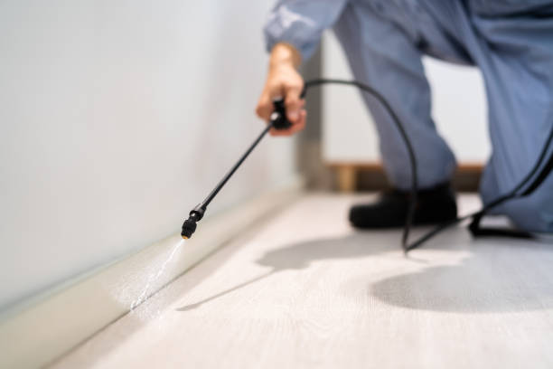 Licensed Pest Control service in South Hutchinson, KS - Show Me Pest Control