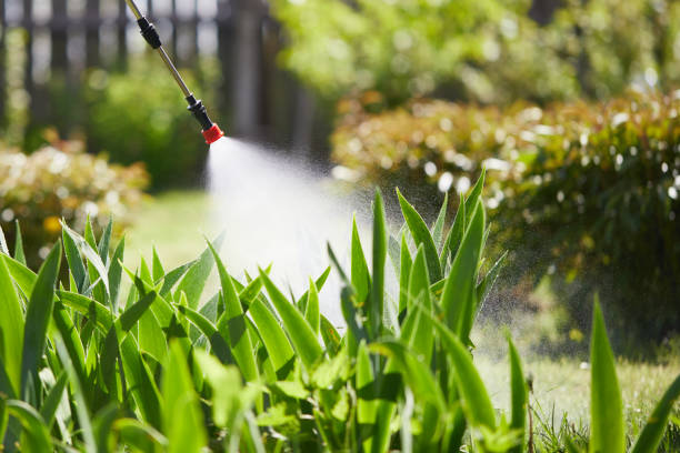 24/7 Emergency Mosquito Control experts in South Hutchinson, KS