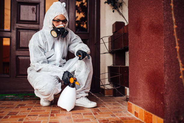 Reliable Mosquito Control contractor in South Hutchinson, KS by Show Me Pest Control