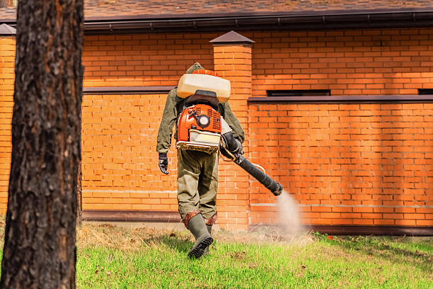 Top rated local Mosquito Control specialists in South Hutchinson, KS
